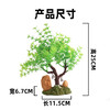 造景大师系列—唯美【塘边小景】 随手一放即可绽放唯美！ 商品缩略图2