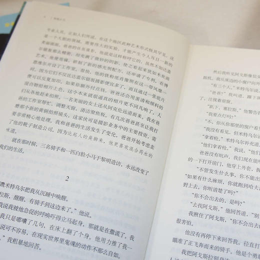 帕拉西奥作品：奇迹小马/奇迹男孩/奥吉和我 商品图3