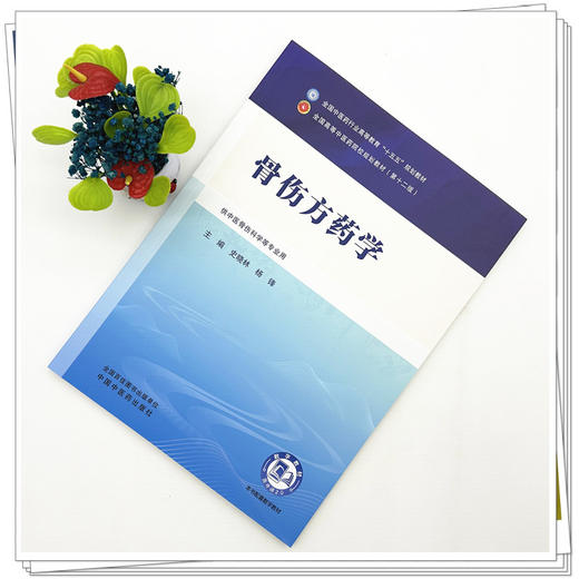 骨伤方药学 史晓林 杨锋 主编 全国中医药行业高等教育十五五规划教材第十二版 中国中医药出版社 商品图1