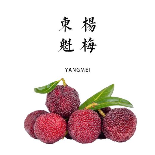 生态东魁杨梅3斤/6斤 产地：云南【基地直发】 商品图0