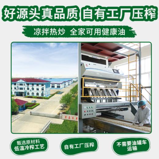 第一坊 有机冷榨花生油1.6L 零反式脂肪 商品图3