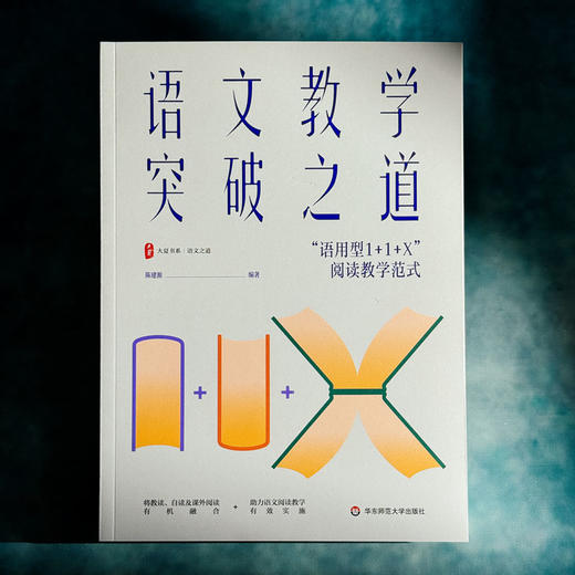 语文教学突破之道 “语用型1+1+X”阅读教学范式 大夏书系 语文之道 陈建源 初中语文教师 商品图1