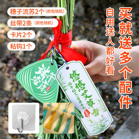 【预售】端午鲜艾挂门  艾草艾蒿   整颗现采 野地生长  长颗艾草叶艾蒿 驱蚊   北京同城