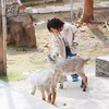 仅售3天❗️【黄龙溪欢乐田园】夏季畅玩卡99元起、整个夏天不限次畅耍戏水区…… 商品缩略图12
