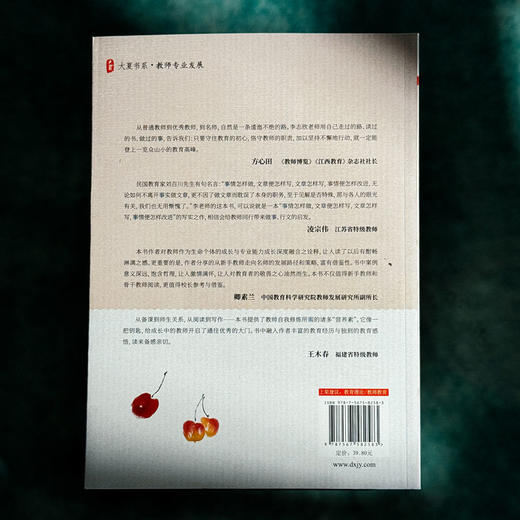 优秀教师的自我修炼 给青年教师的成长建议 大夏书系 李志欣著 商品图2
