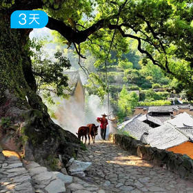 寻隐松阳古道 | 走进仍在呼吸的古村文明，重逢古典中国  12人精品小团｜3日