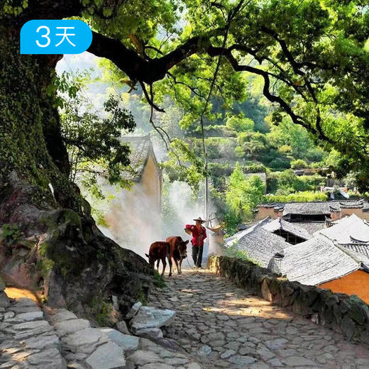 寻隐松阳古道 | 走进仍在呼吸的古村文明，重逢古典中国  12人精品小团｜3日 商品图0