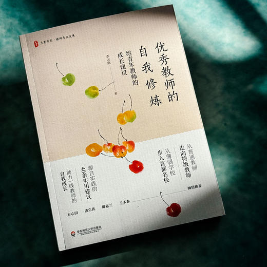 优秀教师的自我修炼 给青年教师的成长建议 大夏书系 李志欣著 商品图4