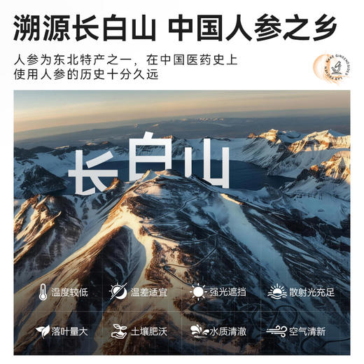 【至上元气】50000ug参萃续航饮·0添加·易吸收·不上火·养颜补元气·含9种以上稀有人参皂苷50ml/瓶 商品图9