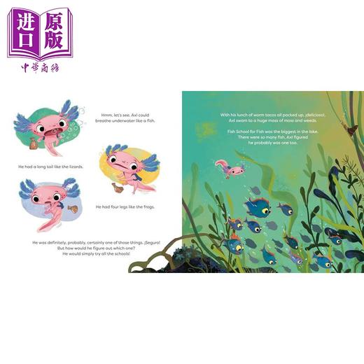 【中商原版】墨西哥钝口螈不是青蛙 Axl The Axolotl Is Not A Frog 英文原版 儿童绘本故事书 充满趣味和正能量 进口童书精装 商品图2