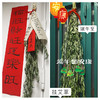 【预售】端午鲜艾挂门  艾草艾蒿   整颗现采 野地生长  长颗艾草叶艾蒿 驱蚊   北京同城 商品缩略图4