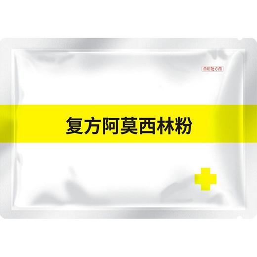 华畜兽药复方阿莫西林兽用可溶性粉克拉维酸钾国标抗菌猪用鸡鸭禽 商品图6