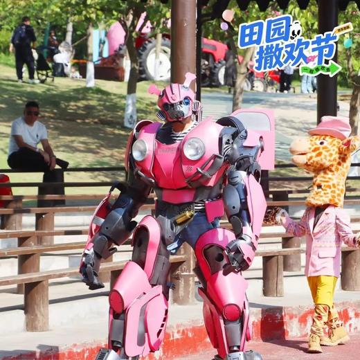 仅售3天❗️【黄龙溪欢乐田园】夏季畅玩卡99元起、整个夏天不限次畅耍戏水区…… 商品图11