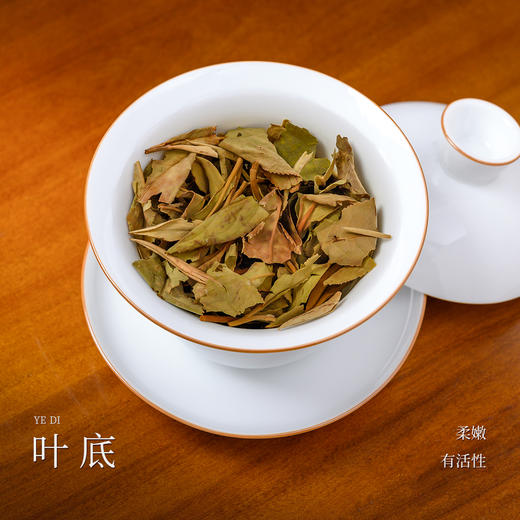 懂茶帝福鼎白茶贡眉云中管阳白茶荒野枞韵2019年春贡眉100g/盒 商品图3