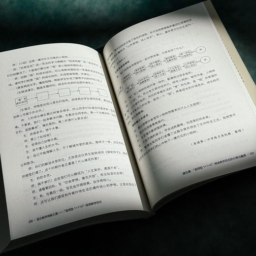 语文教学突破之道 “语用型1+1+X”阅读教学范式 大夏书系 语文之道 陈建源 初中语文教师 商品图13