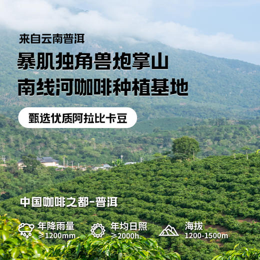暴肌独角兽黑咖啡0蔗糖0脂肪低卡速溶美式纯黑咖啡豆粉运动健身燃减【60条】美式黑咖啡60g*2盒 商品图2