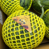 阔江小凤西瓜 商品缩略图3