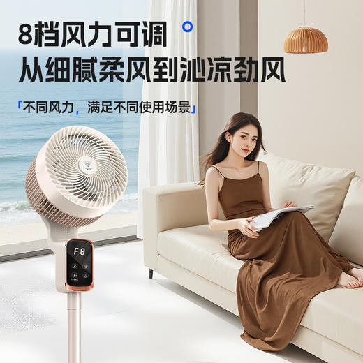 千元配置！8档风力、语音控制、扇叶抑菌！【钻石牌 空气循环扇 】内置香薰盒 语音遥控 立地台3用 12h定时 FX-L36AQR 商品图2