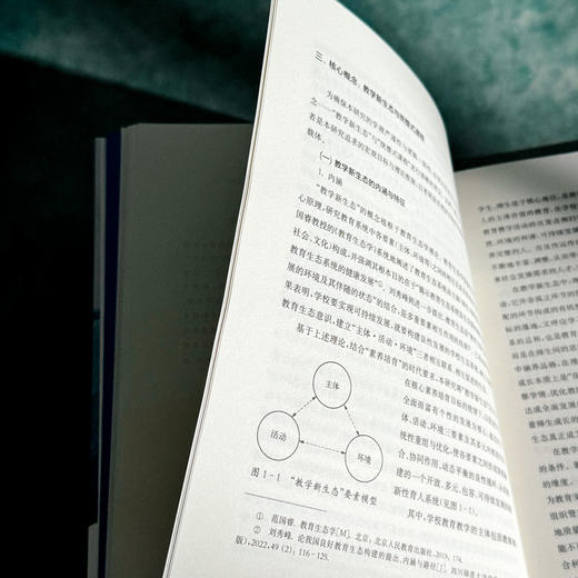教学新生态 统整背景下海华教育实践的创新探索 陈菊 基础教育创新发展实践样本 商品图8