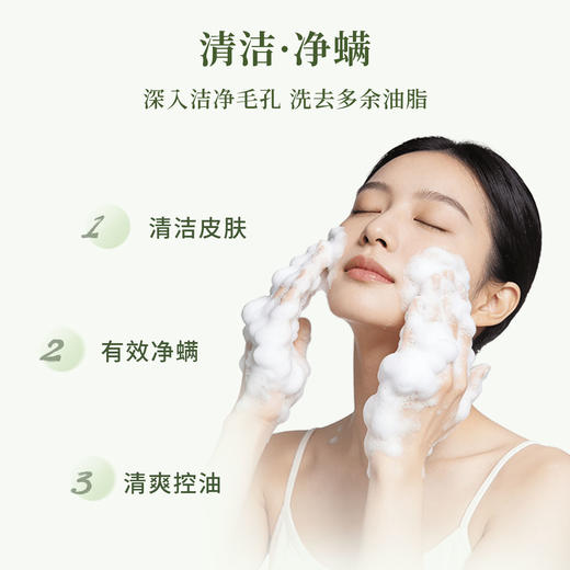 福林堂青蒿精粹皂 清洁舒爽 100g/盒 商品图2