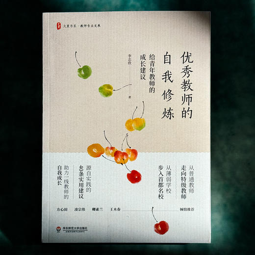 优秀教师的自我修炼 给青年教师的成长建议 大夏书系 李志欣著 商品图1