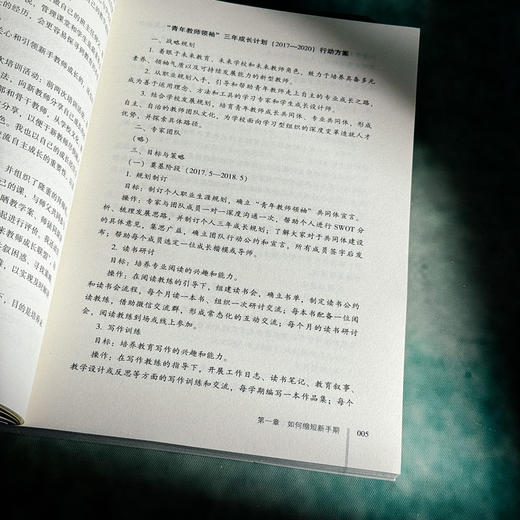 优秀教师的自我修炼 给青年教师的成长建议 大夏书系 李志欣著 商品图9