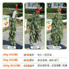 【预售】端午鲜艾挂门  艾草艾蒿   整颗现采 野地生长  长颗艾草叶艾蒿 驱蚊   北京同城 商品缩略图2