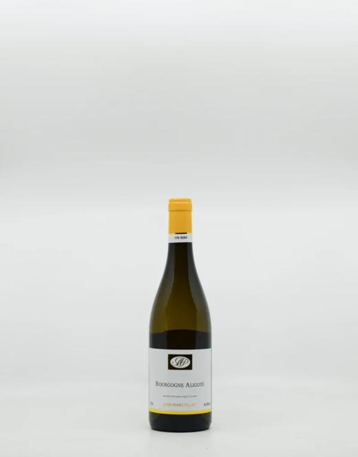 勃艮第名庄Pillot“降级酒”捡漏！小钱喝大酒！白葡萄酒 商品图1