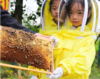 7.14-7.18【暑期托管营-自然国风体验营】5天4晚：探秘蜂群，解锁自然奥秘，汉服雅集，沉浸国风体验，美食手作，变身小小厨神 商品缩略图13