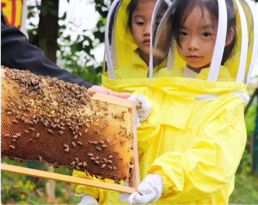 7.14-7.18【暑期托管营-自然国风体验营】5天4晚：探秘蜂群，解锁自然奥秘，汉服雅集，沉浸国风体验，美食手作，变身小小厨神 商品图13
