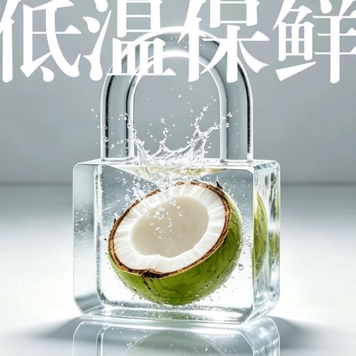 东郊椰林鲜椰子水200g 商品图2