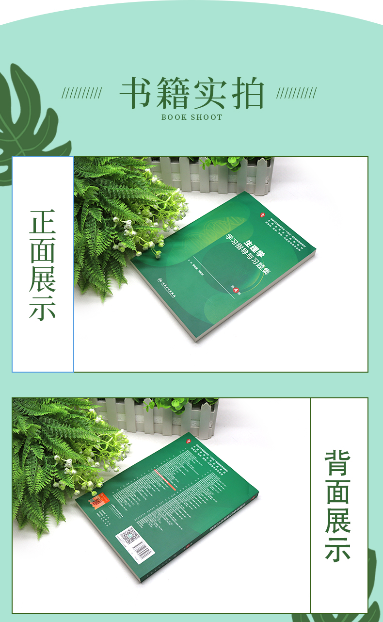 科普2-恢复的_03.jpg