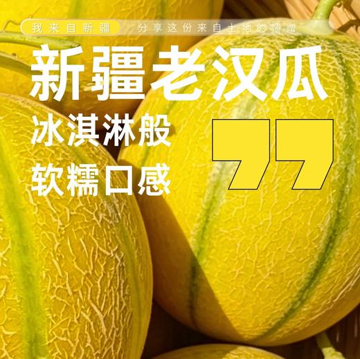 来来来 一起吃瓜【新疆老汉瓜｜火焰山下的软糯清甜】 自带蜜香的瓜 商品图0