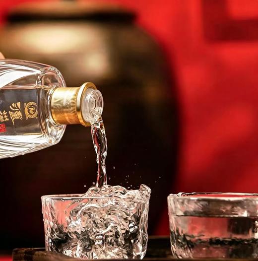 【泸州老窖股份出品】【泸州鉴藏精品·升级版】52°浓香型白酒 500ml/瓶 送手提礼袋 商品图8