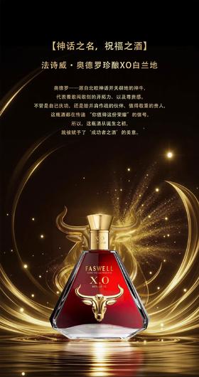 法诗威·奥德罗珍酿XO白兰地  1L/瓶