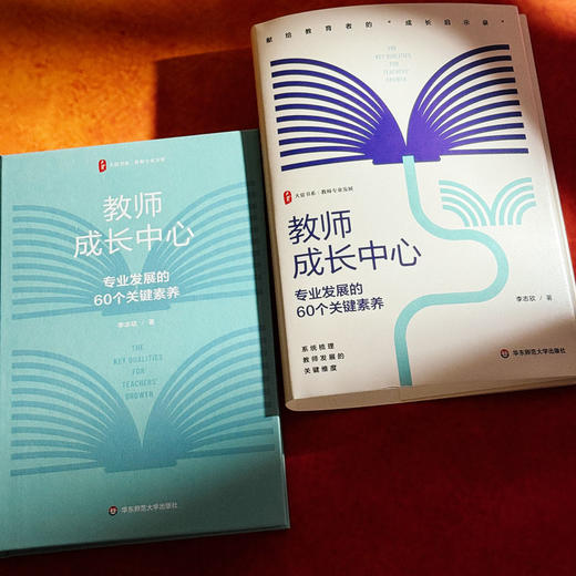 教师成长中心 专业发展的60个关键素养 大夏书系 教师专业发展 特级教师李志欣 商品图5