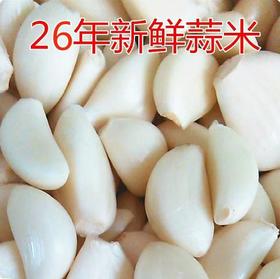 【YMHR】去皮蒜米  当季新鲜