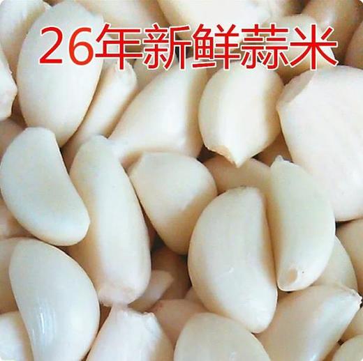 【YMHR】去皮蒜米  当季新鲜 商品图0