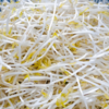 【YMHR】绿豆芽 新鲜直采 商品缩略图0
