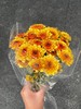 【布鲁诺小雏菊双拼】布鲁诺黄小菊5支+布鲁诺红小菊5支/份 商品缩略图6