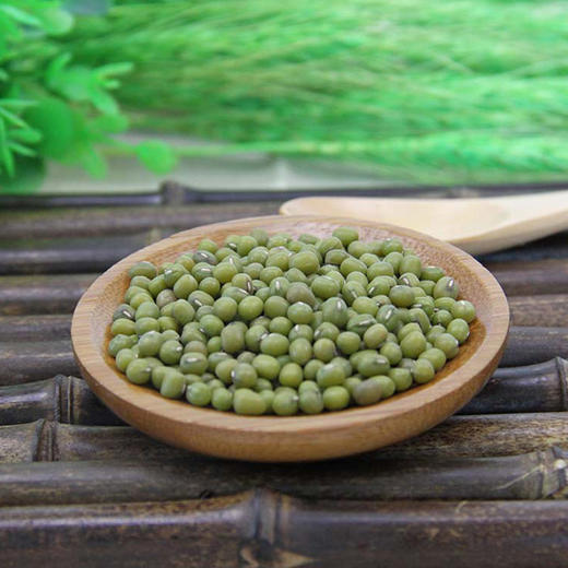 有机绿豆 400g 商品图2