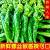 【YMHR】螺丝椒  新鲜特惠 商品缩略图0