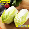 【YMHR】大白菜  大锅菜酸菜 商品缩略图1
