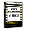 大卫阿尔蒙德系列3册 骨笛的回响吃火的人旷野迷踪 经典文学故事 商品缩略图2