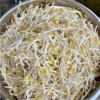 【YMHR】绿豆芽 新鲜直采 商品缩略图1