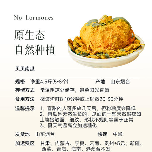 【平价版贝贝南瓜（非惠和）】粉糯 富含膳食纤维 早餐/点心/煮蔬菜汤健康粗粮～ 商品图7