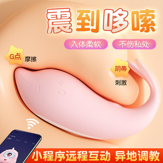 【女用器具】谜姬 皮皮豚跳蛋 中高端差异品 商品图5
