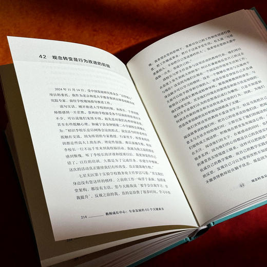 教师成长中心 专业发展的60个关键素养 大夏书系 教师专业发展 特级教师李志欣 商品图13