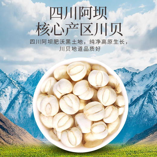 雷允上直营|川贝粉10g/袋 四川川贝 粉质细腻 商品图2
