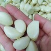 【YMHR】去皮蒜米  当季新鲜 商品缩略图2